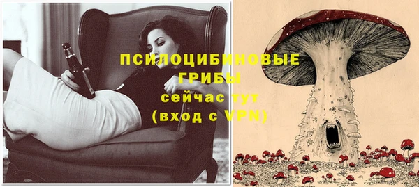 дмт Абдулино