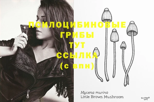 прущая мука Абаза