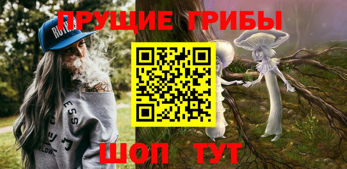 Тамбов  Галлюциногенные грибы Psilocybine cubensis  Вход с VPN  Галлюциногенные грибы Cubensis 